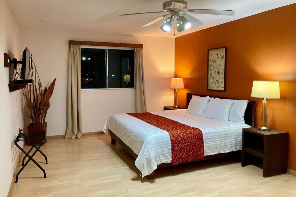 Comfortable Nautilus House แกร์เรโร เนโกร ภายนอก รูปภาพ